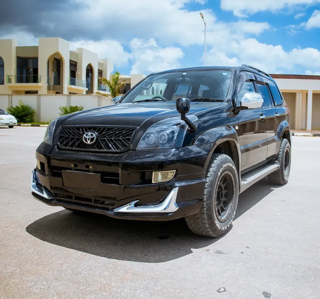 Prado 1