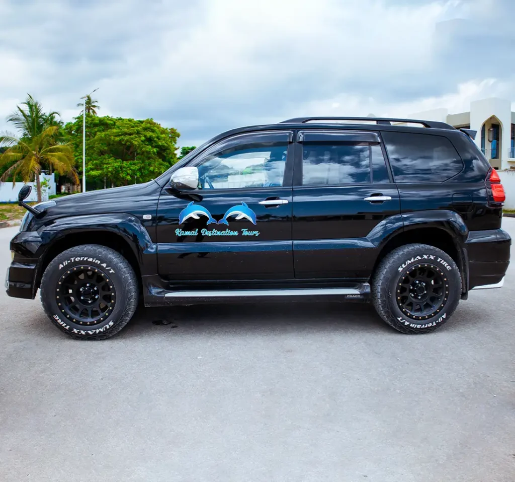 Prado 3