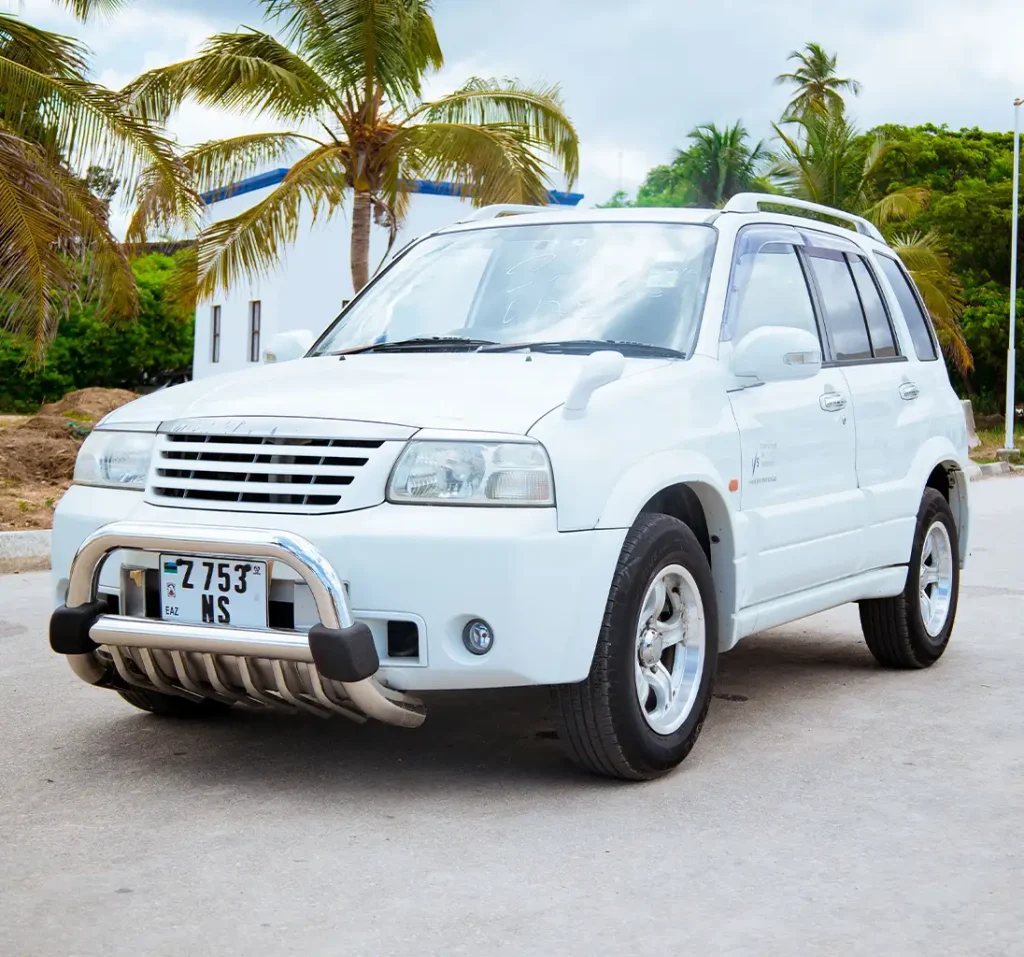 Suzuki 1
