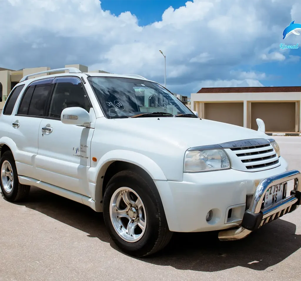 Suzuki 2